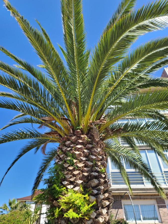 Luminoso Apartamento Playa Ris Con Garaje Noja Eksteriør bilde